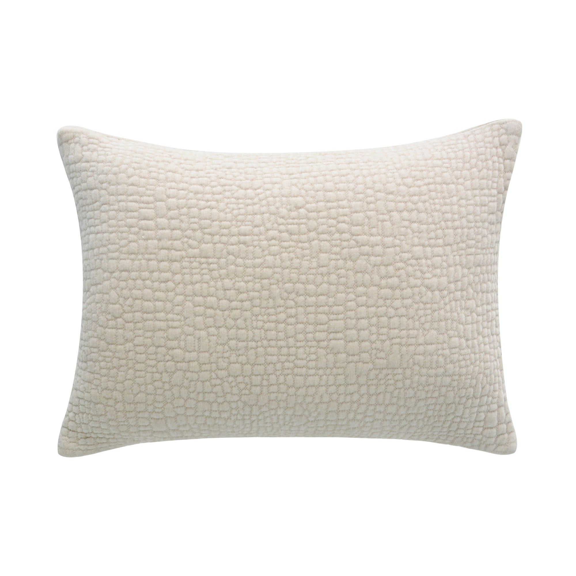 Tivoli Beige Textured Pillow