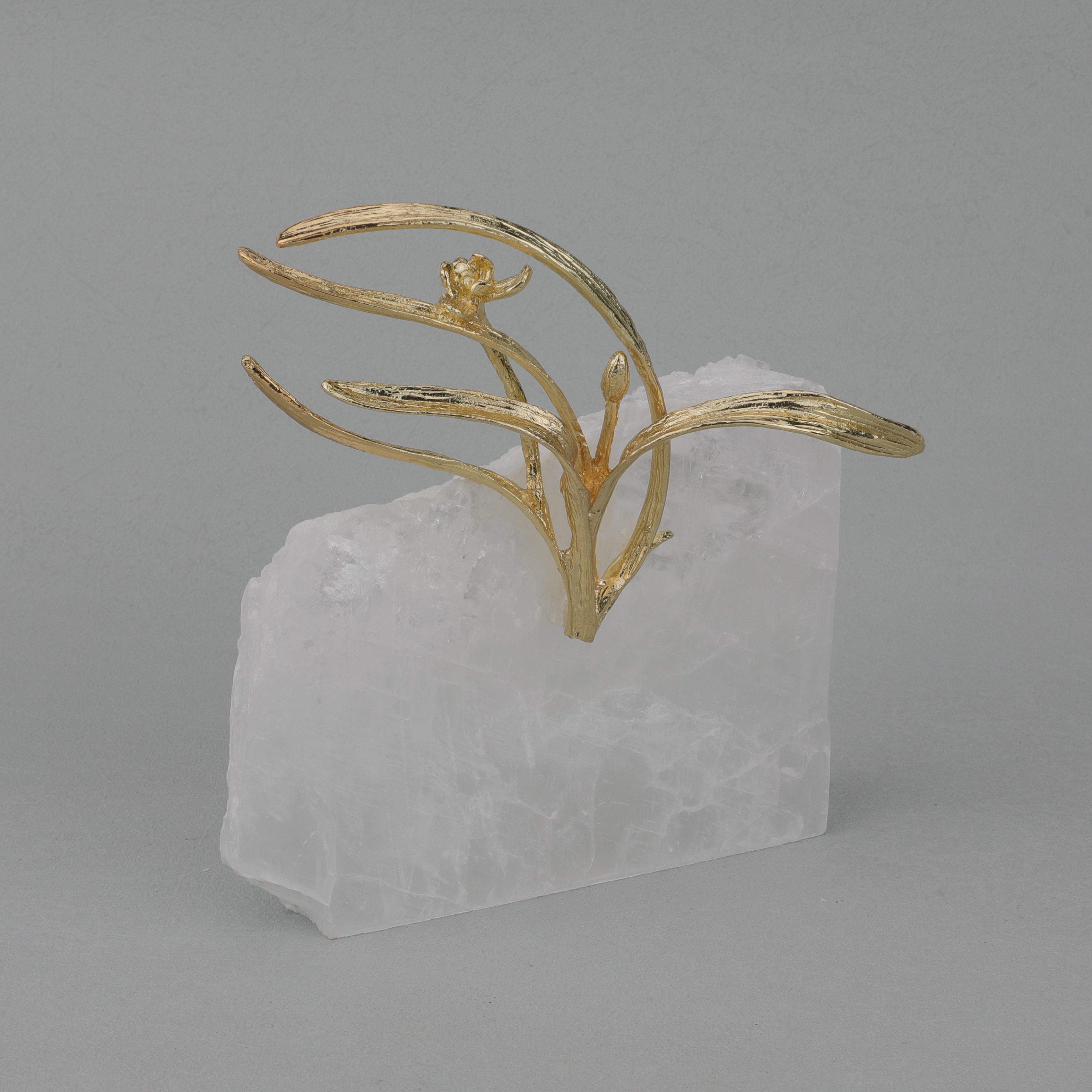 Zoe Enchanted Branch 