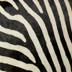 Denver Zebra Printed Genuine Hairon Hide Pillow
