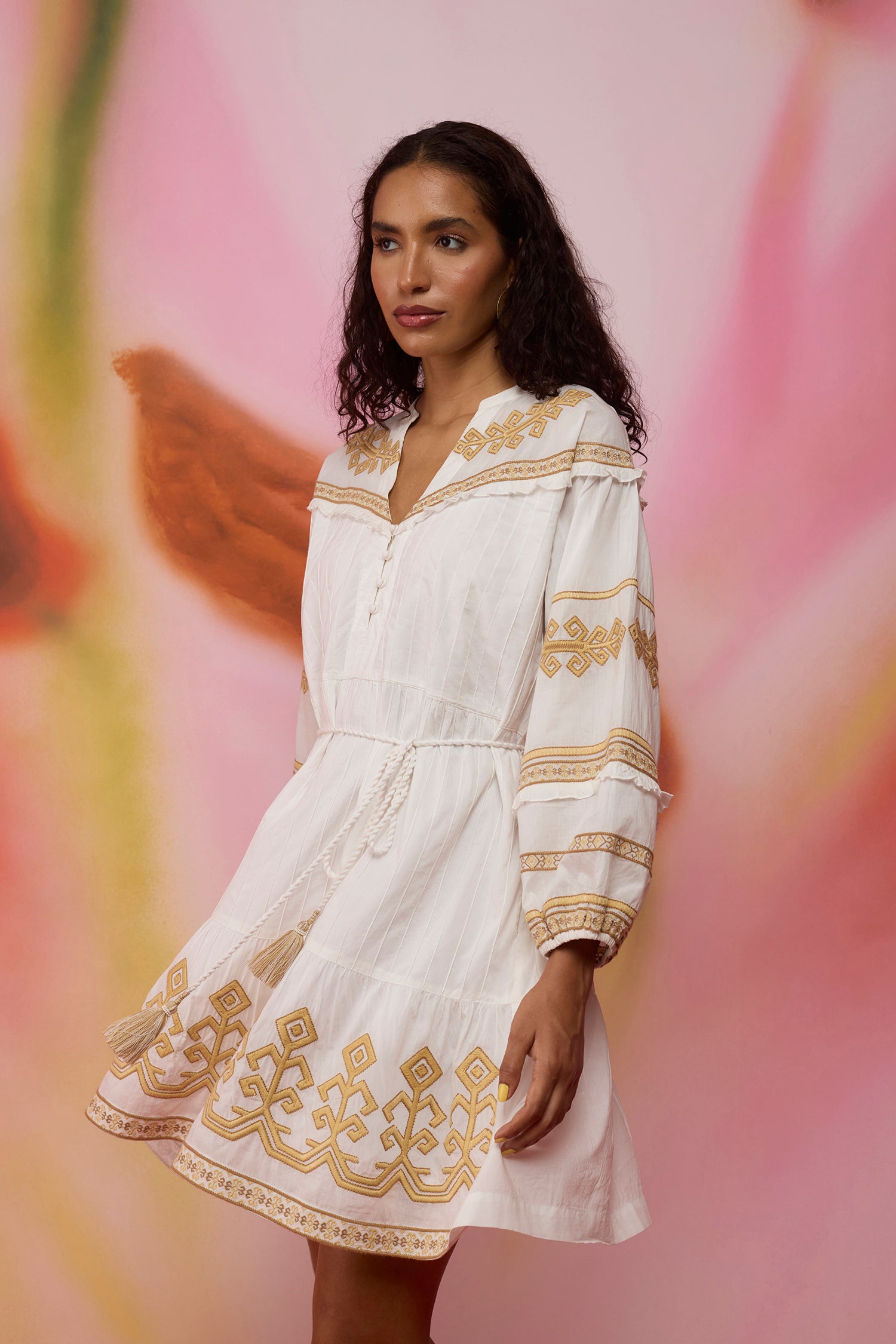 Scattered Stars Indonesian Embroidery Mini Dress
