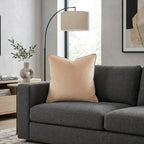 Noah Beige SIlver Velvet Pillow - NOAH01F-BGSV