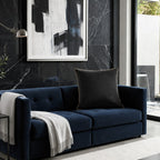 Noah Black Gold Velvet Pillow - NOAH01F-BKGD