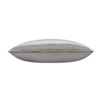 Noah Grey Gold Velvet Pillow