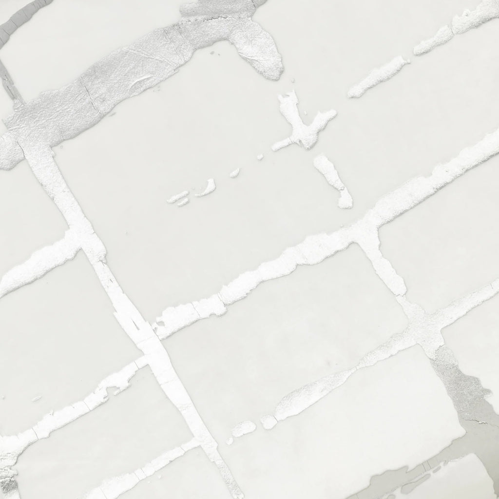 Oslo White Silver Velvet Pillow