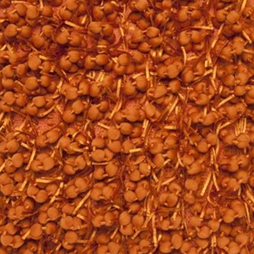 Pompom Woven Orange Pillow