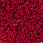 Pompom Woven Red Pillow