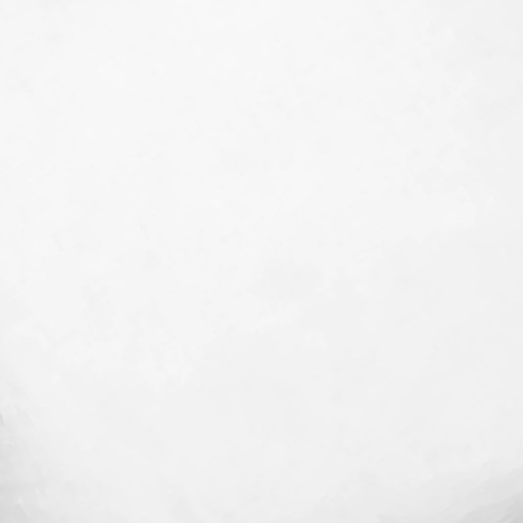 Pillow Insert - 22x22