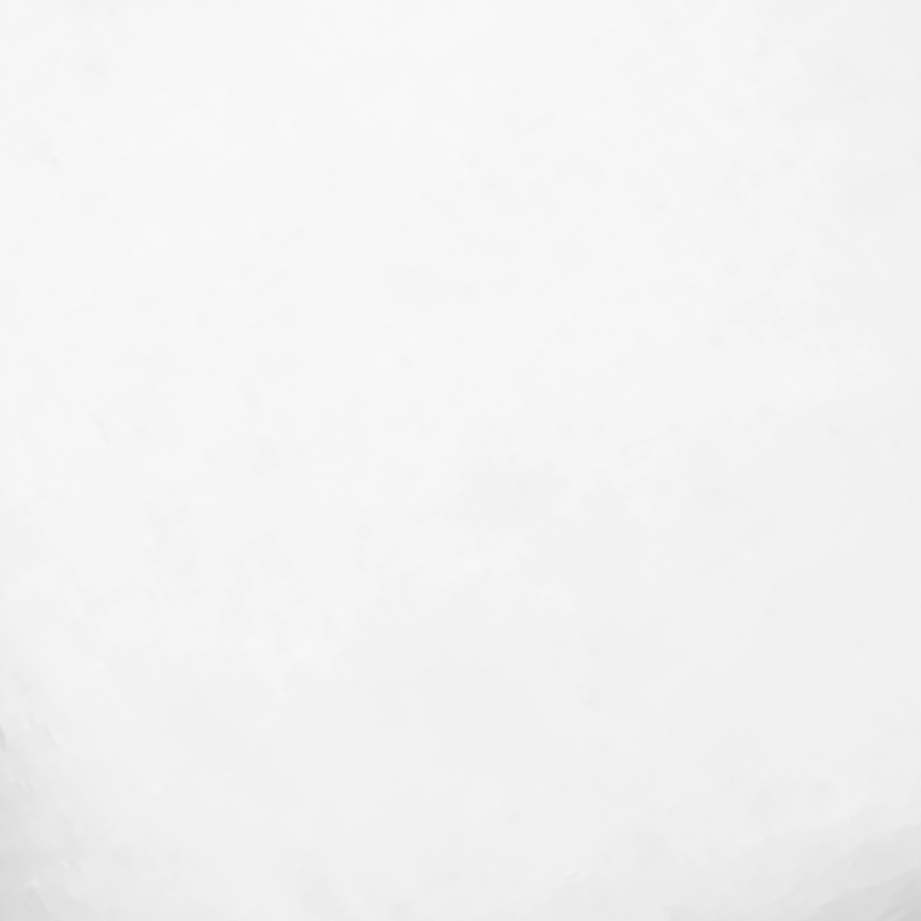 Pillow Insert - 22x22