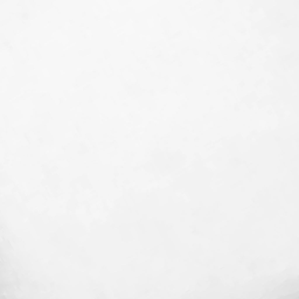 Pillow Insert - 24x24