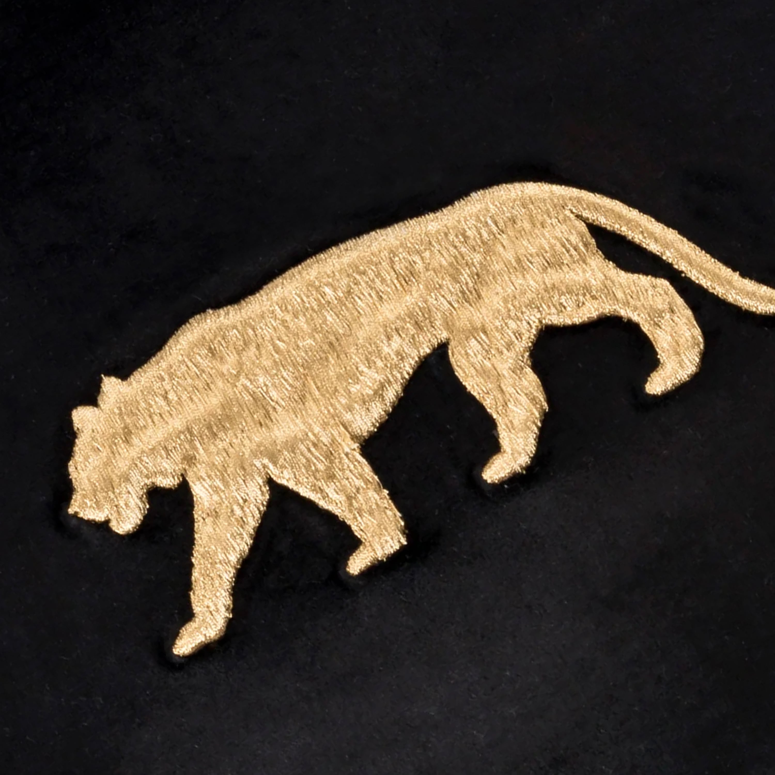 Rica Black And Gold Velvet Pillow