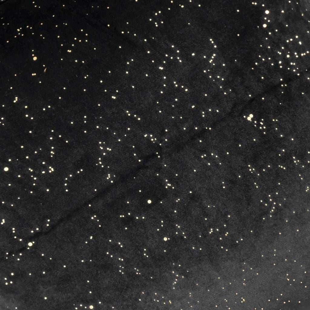 Rica Black Vlevet Pillow