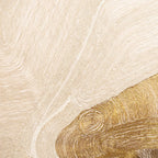 Zer Ivory And Gold Pillow