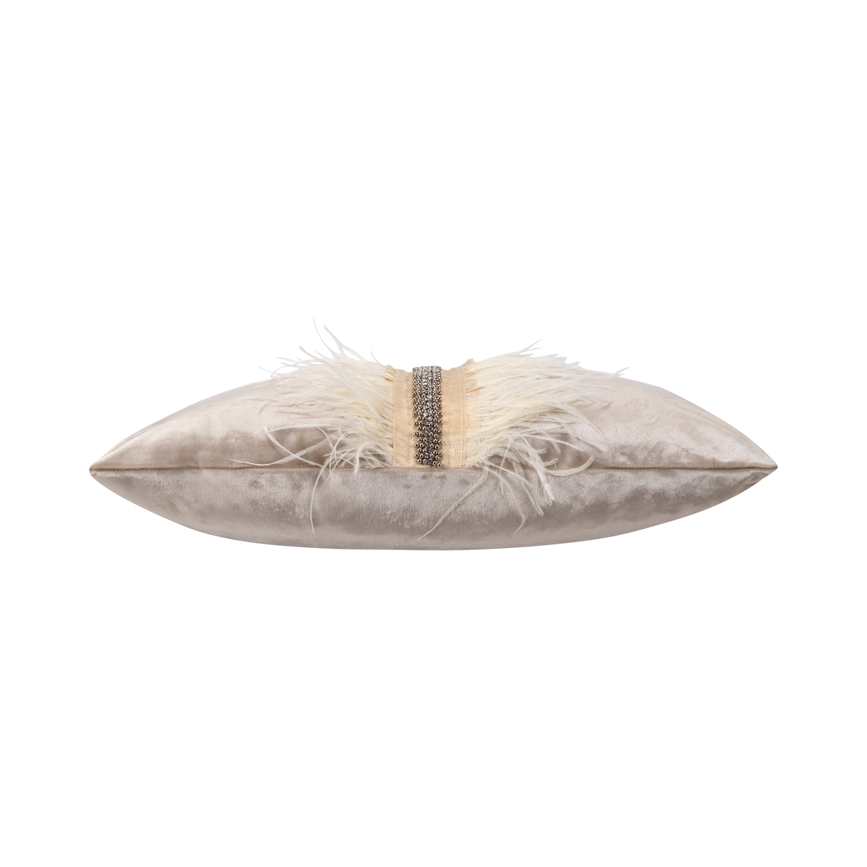 Ava Beige Velvet Pillow