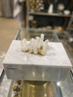 Home Decor Amber Box