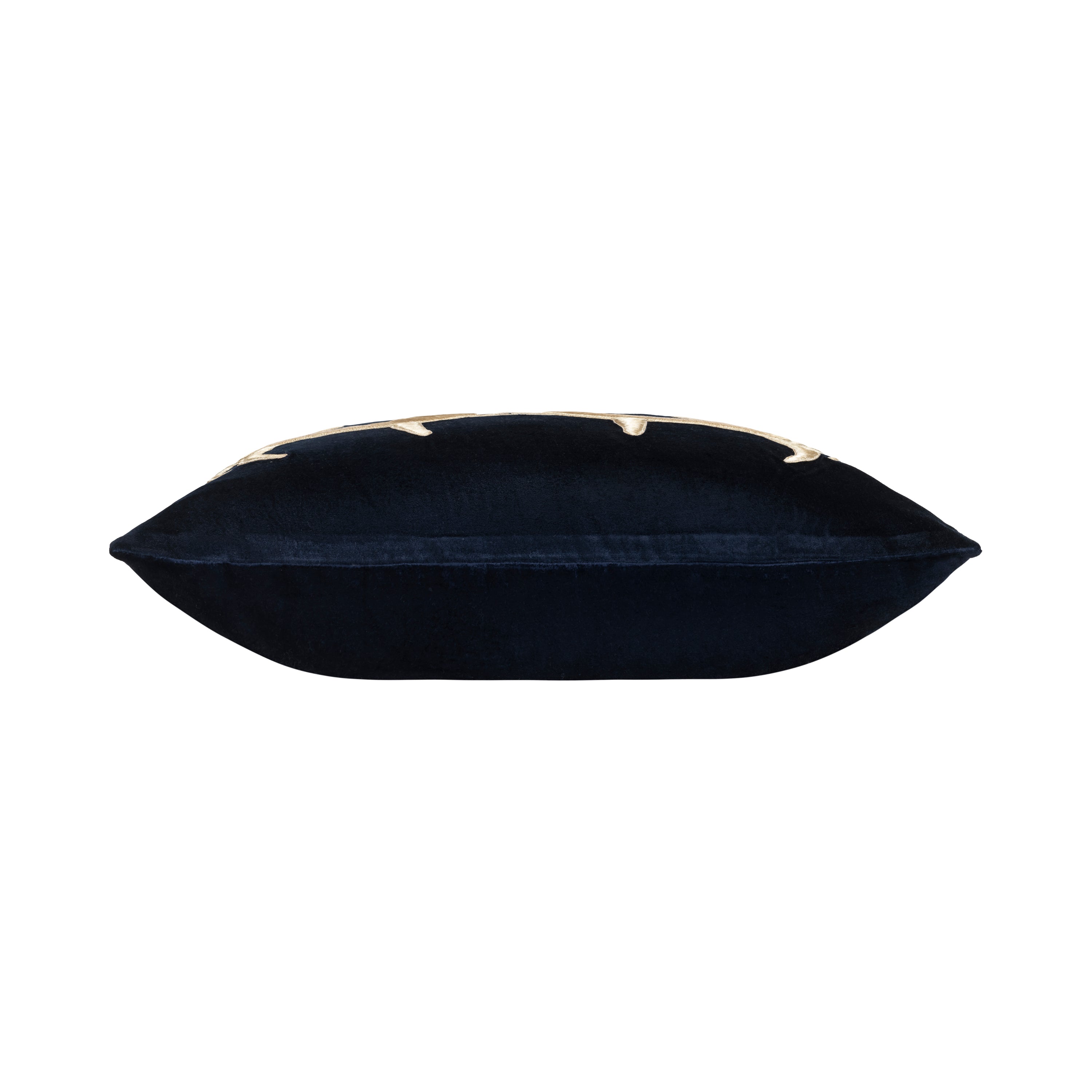 Denver Navy Longhorn Pillow