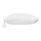 Snow Ivory Euro Sham Cover