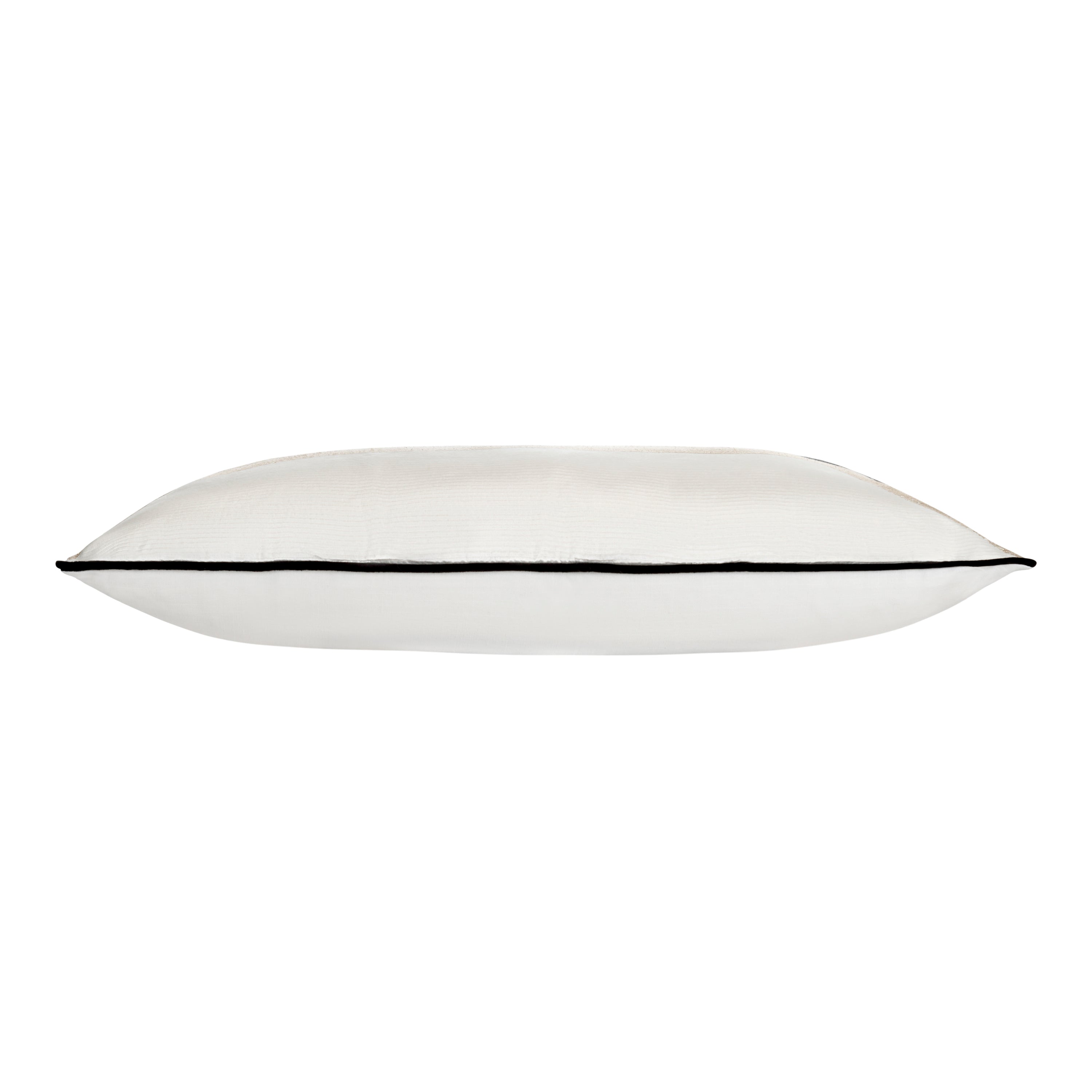 Hudson Black Velvet Pillow