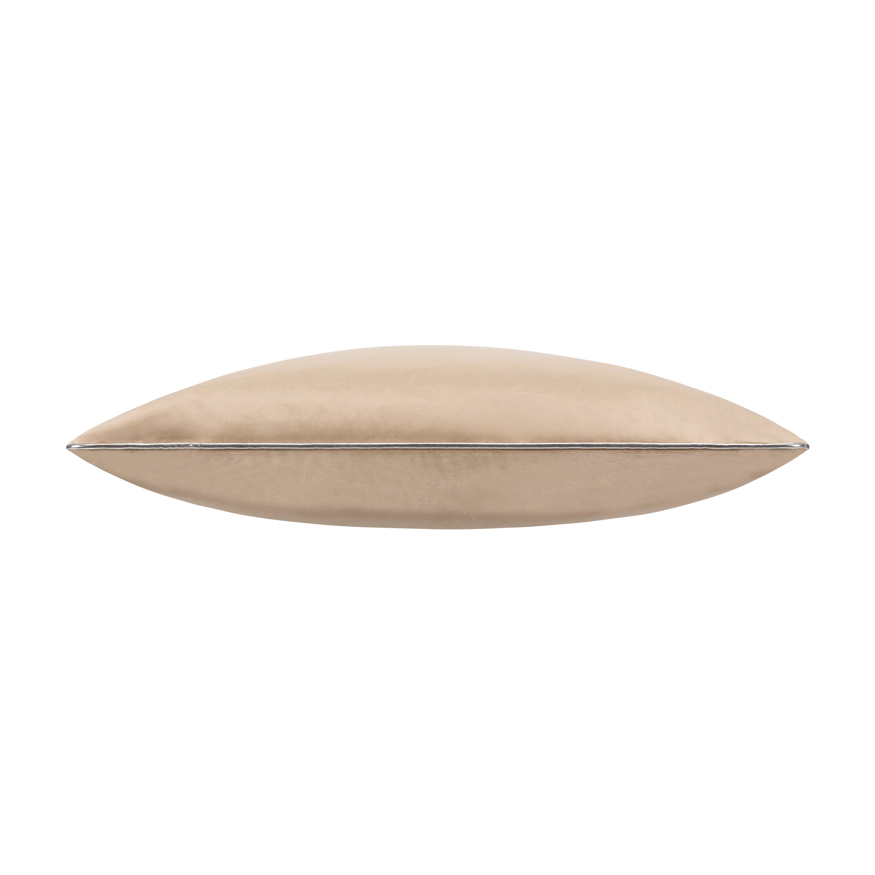 Noah Beige SIlver Velvet Pillow