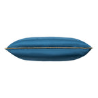 Noah Navy Gold Velvet Pillow