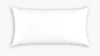 Pillow Insert - 15x31