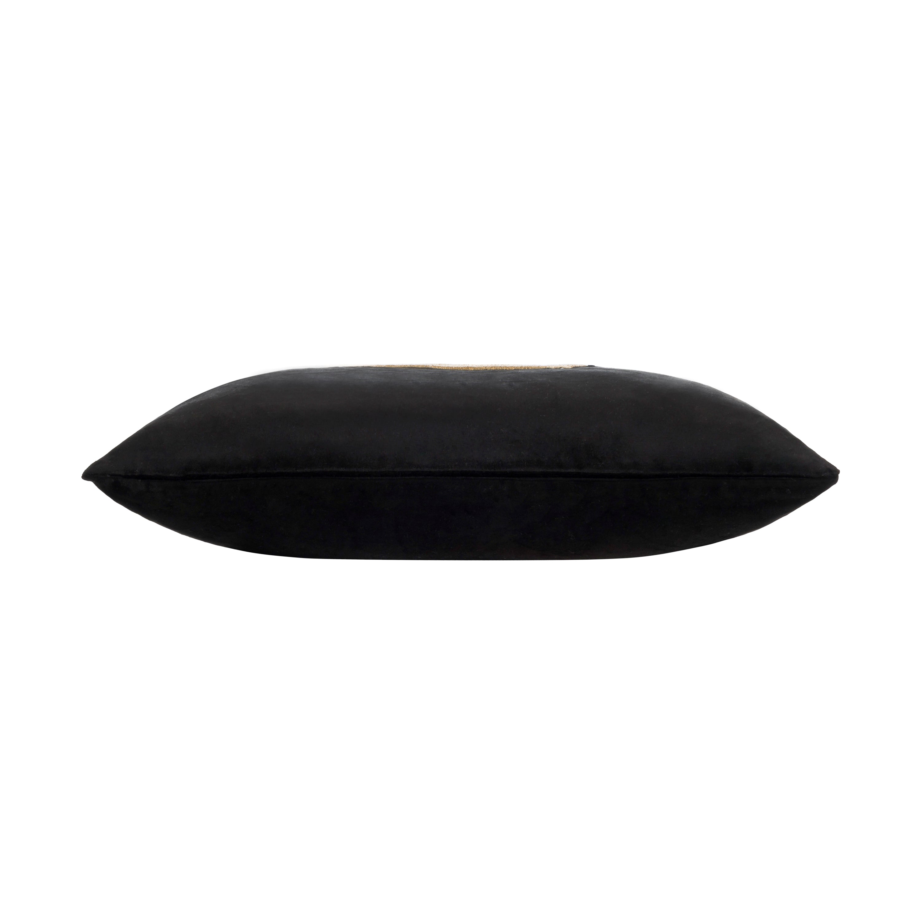 Rica Black And Gold Velvet Pillow